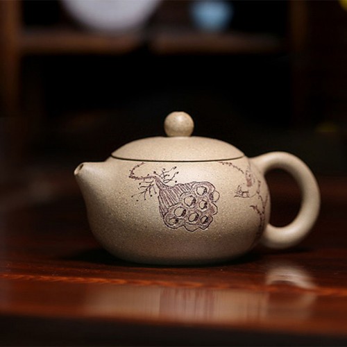 (ÇØ¿ÜÁ÷±¸w407)ÀåȣõÇÏ ÀÚ»çÈ£ ¸¸À켯 Á¶¸®°ø¿¹¹Ì¼ú»ç ´Ü´Ï ¼½ÃÈ£ 80cc (ÇØ¿ÜÁ÷±¸w407)ÀåȣõÇÏ ÀÚ»çÈ£ ¸¸À켯 Á¶¸®°ø¿¹¹Ì¼ú»ç ´Ü´Ï ¼½ÃÈ£ 80cc